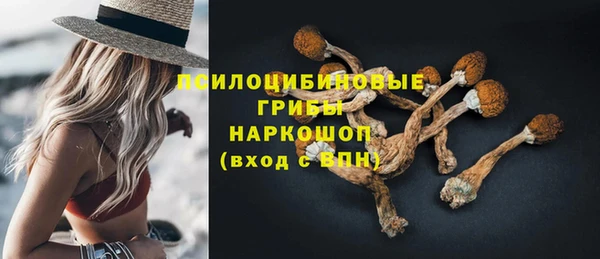 mdma Богданович