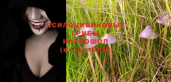 mdma Богданович