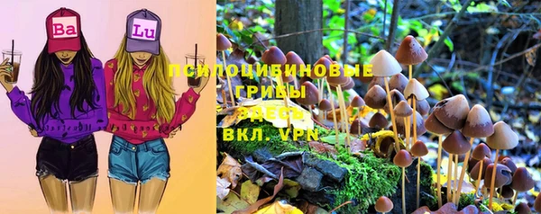 соль ск Богородск