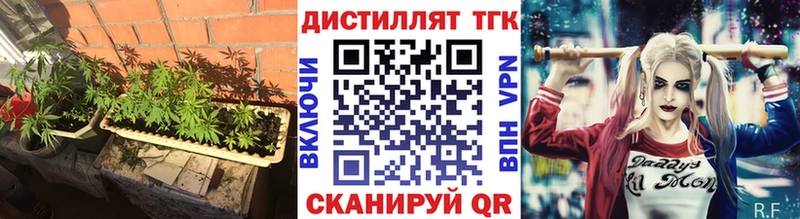 даркнет сайт  Махачкала  hydra ТОР  Дистиллят ТГК THC oil 