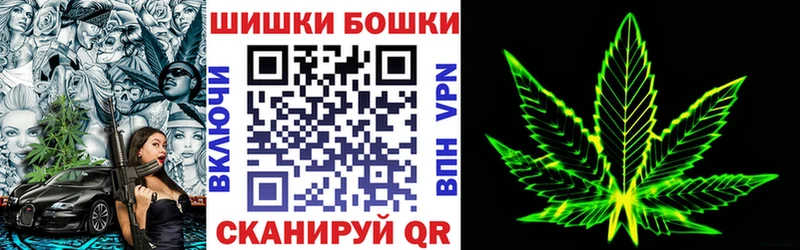 как найти наркотики  Махачкала  Марихуана план 